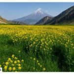 Lar Damavand Plain