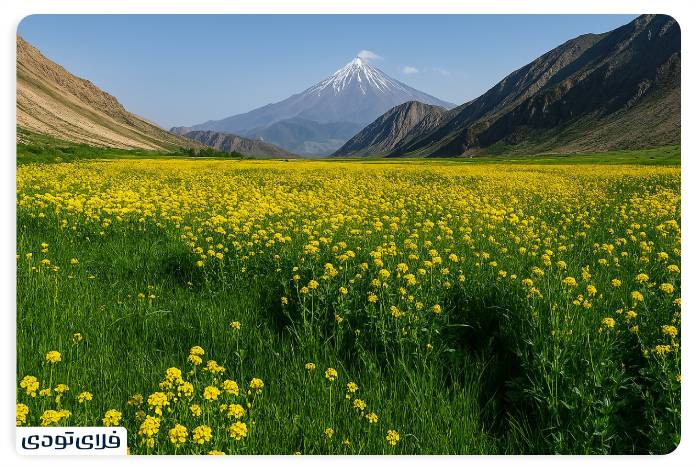Lar Damavand Plain