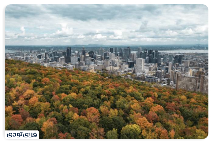 Spectacular places of Montreal