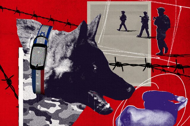 Participation of Dutch dogs in Zionist army war crimes