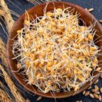 How to make wheat germ powder