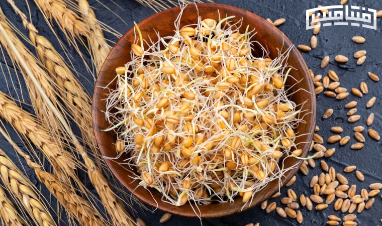 How to make wheat germ powder