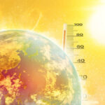 Video/ Earth fever
