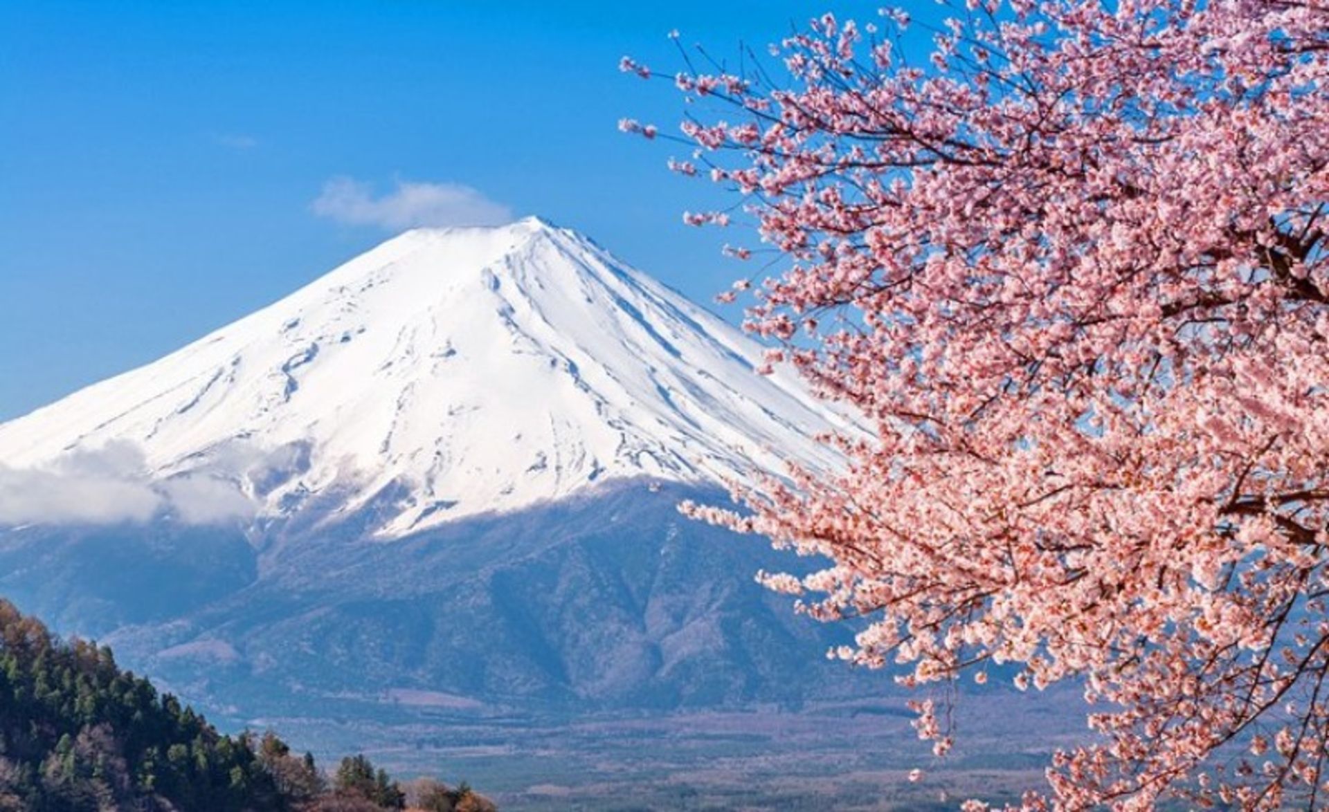 Fuji Mouain in Japan