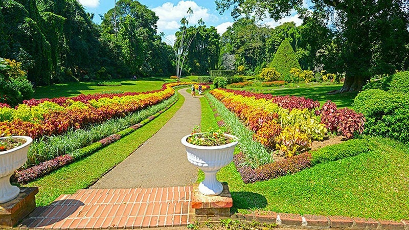 Praadeniya Botanical Gardens)