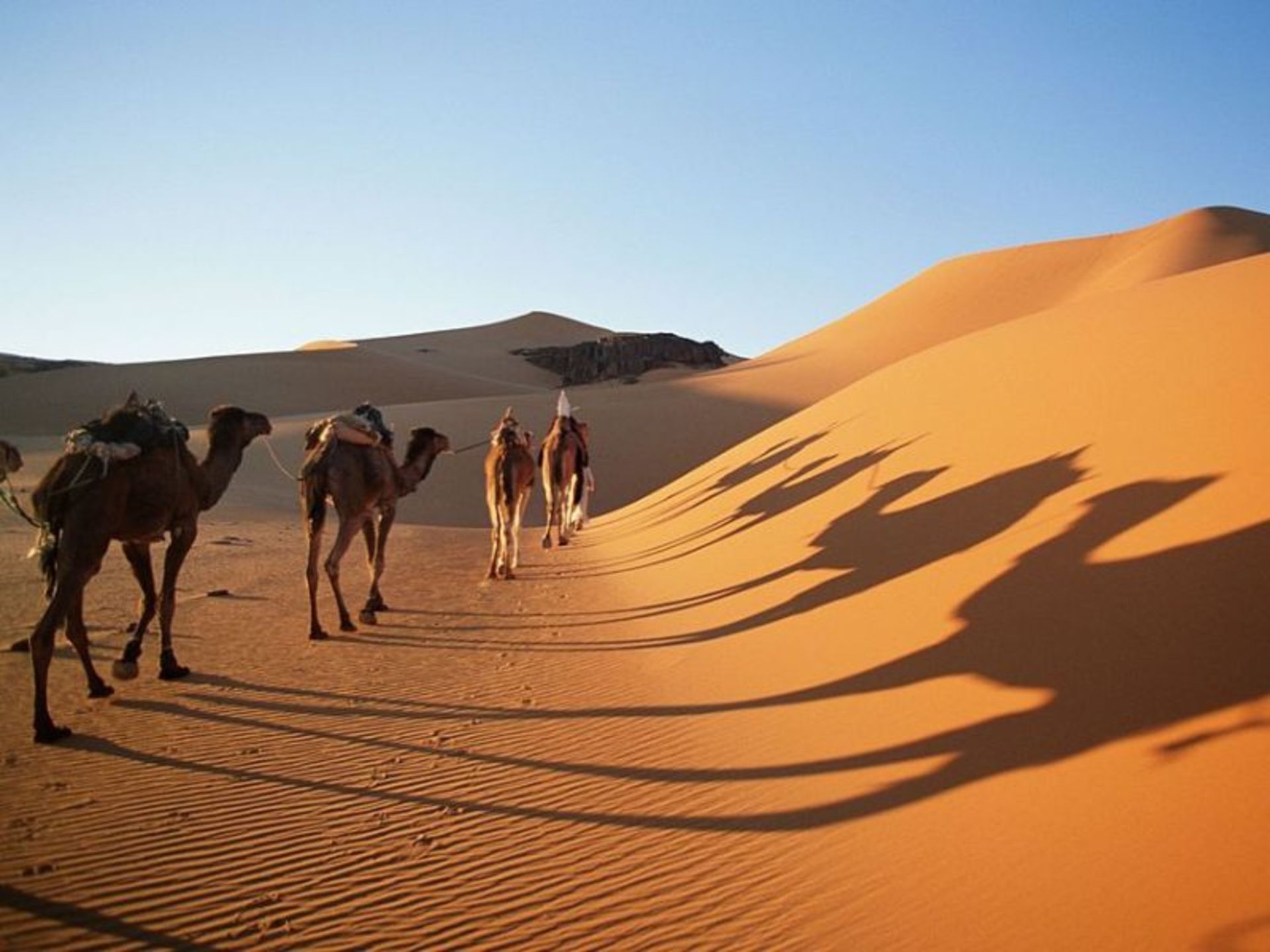Maranjab Desert in Kashan
