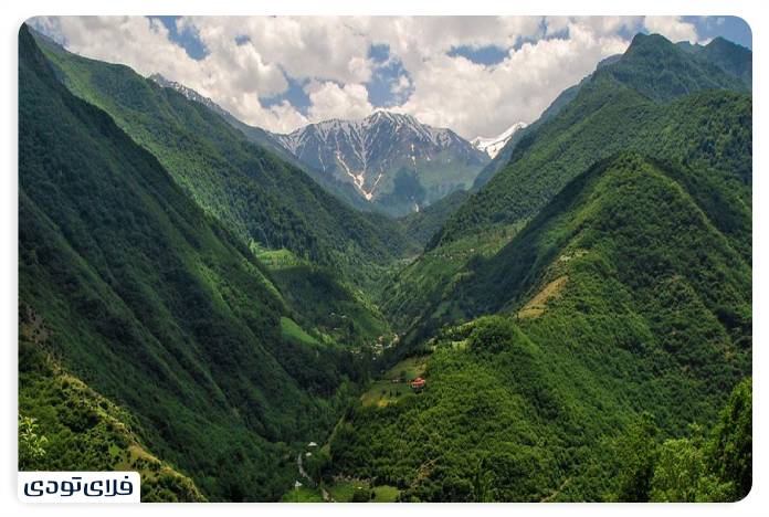 The forests of two thousand and three thousand
