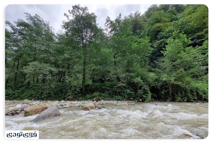 Tips of Visiting the Forest of Two Thousand and Three Thousand