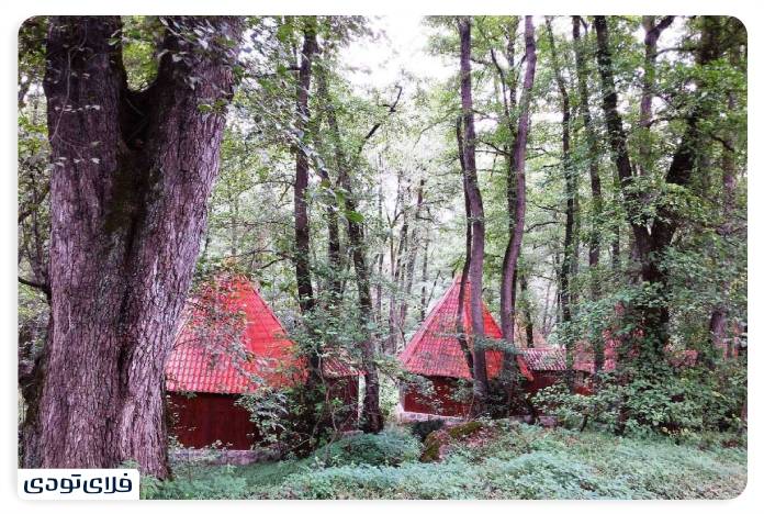 Ecosystems and local homes