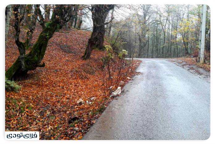 Two thousand forests of three thousand Hidden beauties of northern Iran