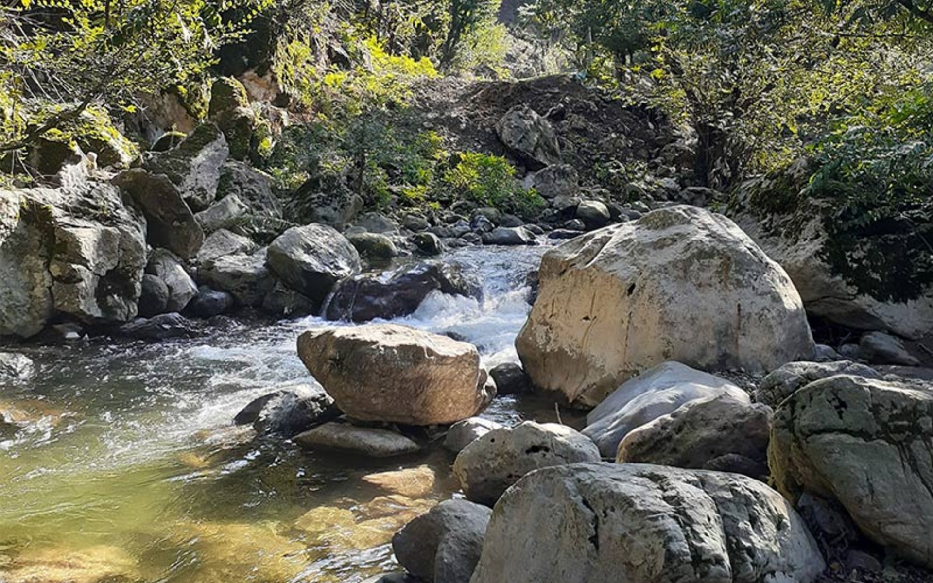 Shalma Village