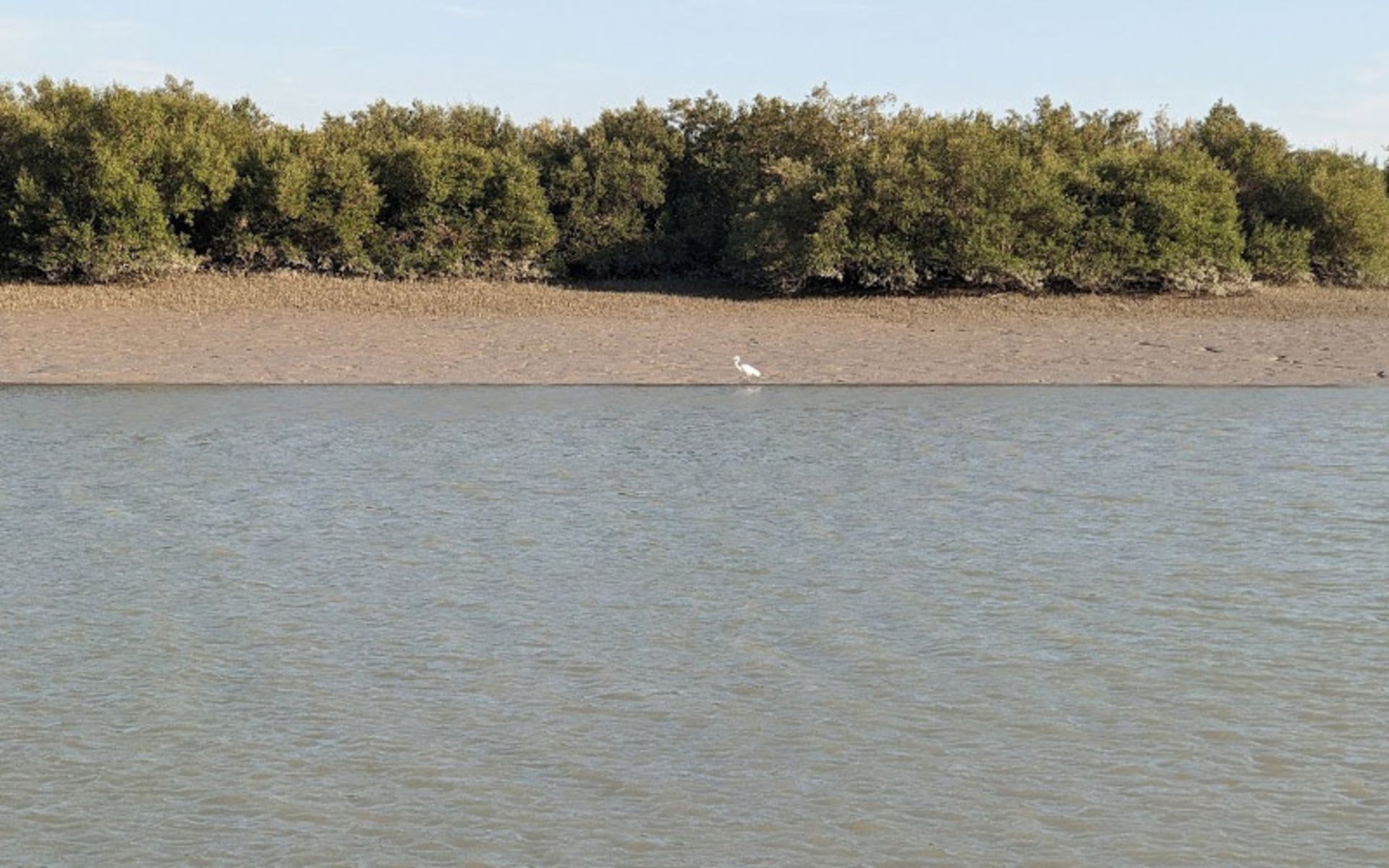 Nature of Khakhoran Wetland