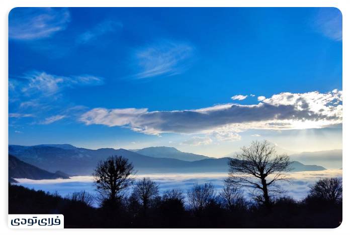 Alimistan Forest