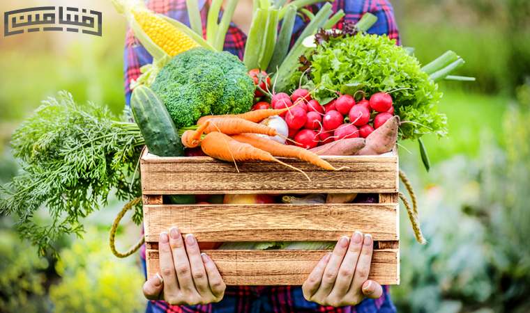 Foods coaining iron and zinc