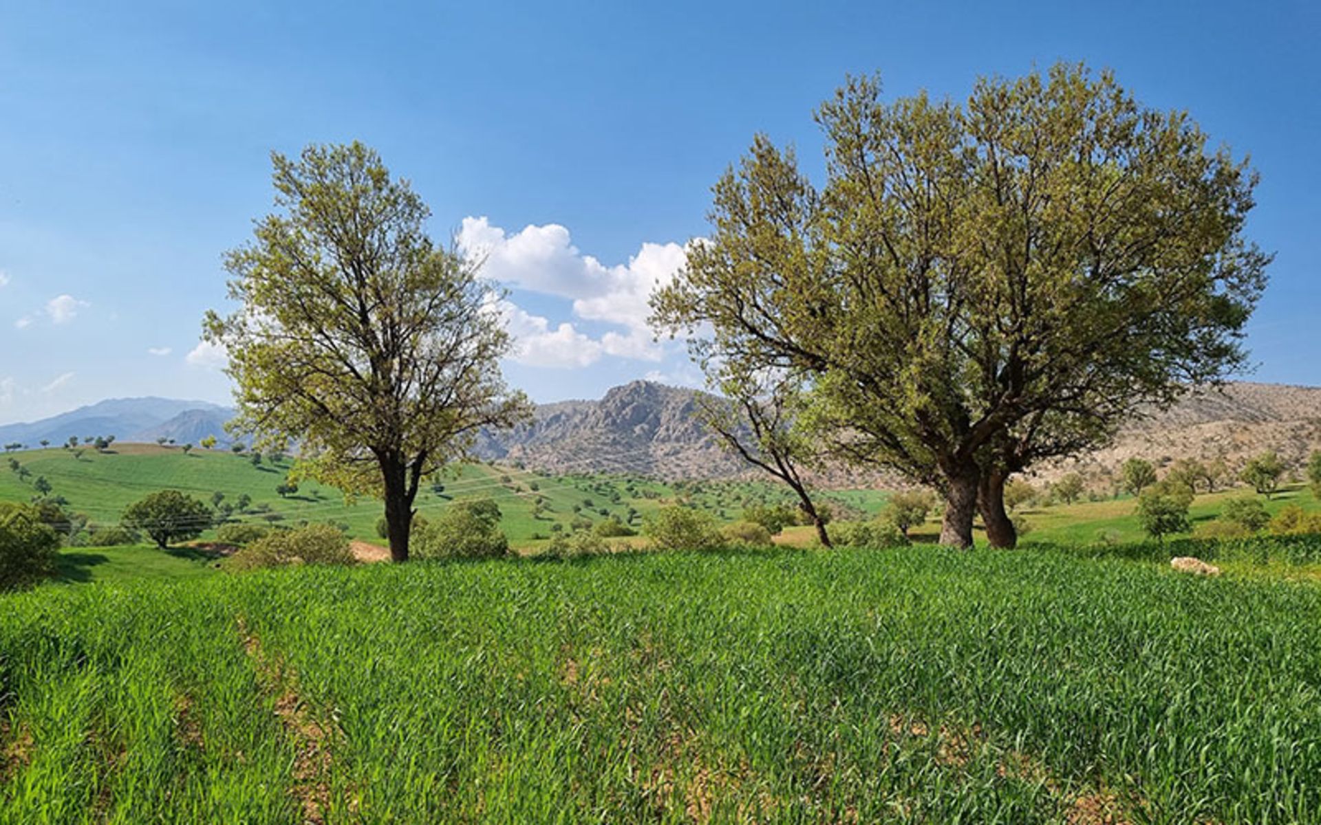 The nature of the Helen Protected Area