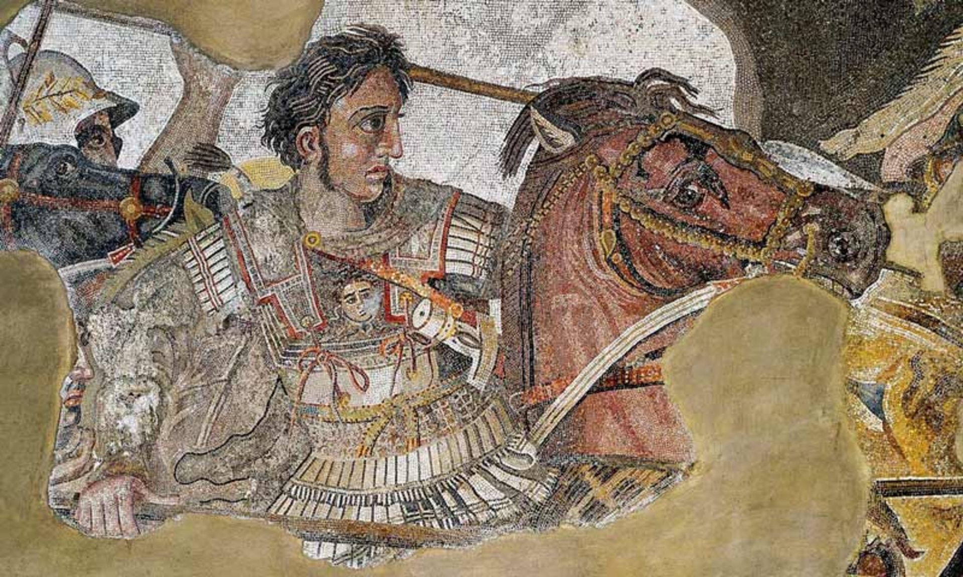Alexander's riding 
