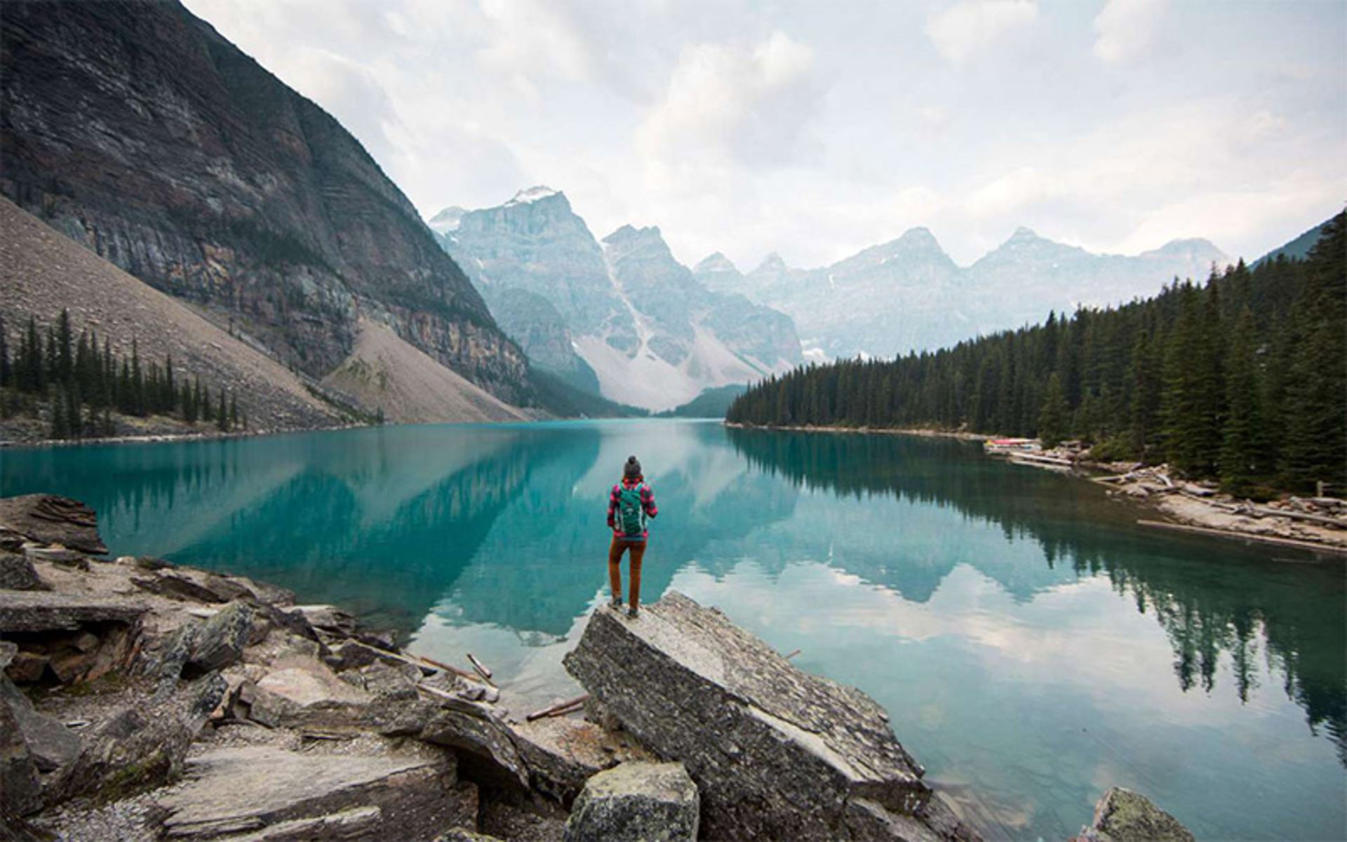 Solo nature in the lake
