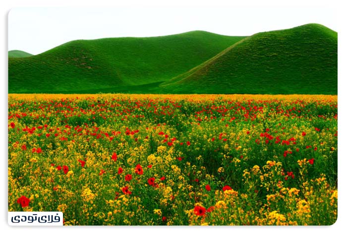 Turkmen Desert The best time to travel to Turkmenistan Desert