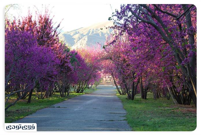 Iroducing Tehran Botanical Garden Green experience in the capital