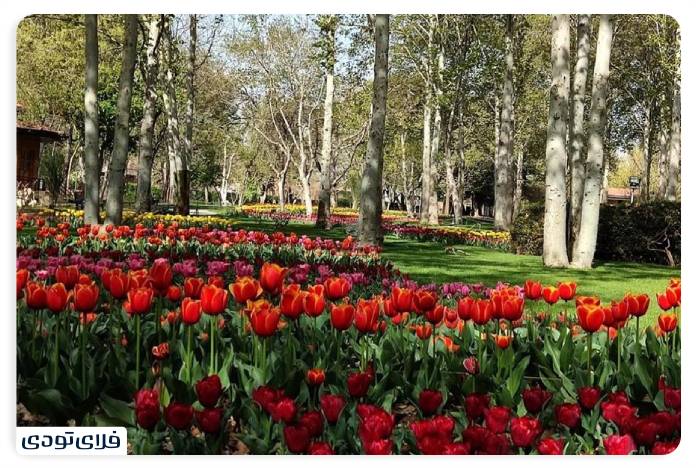 Iroducing Tehran Botanical Garden Green experience in the capital