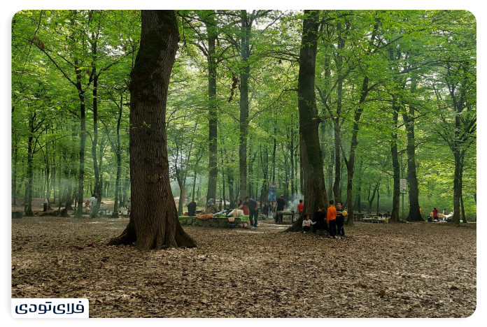 Royan Forest Park