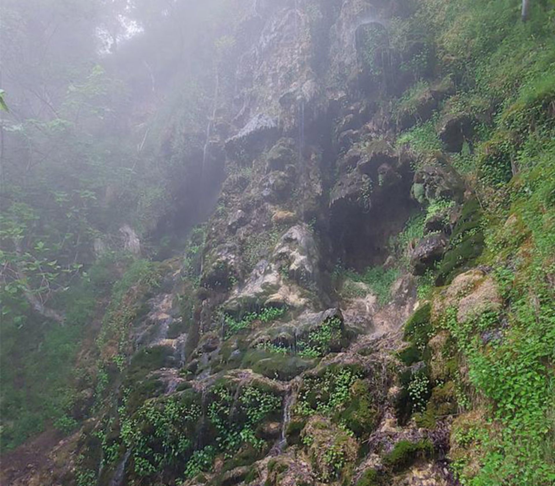 Nature of Systems Waterfall