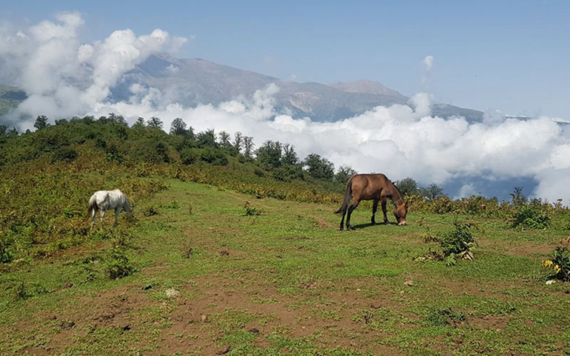 Mazichal Mouain Nature