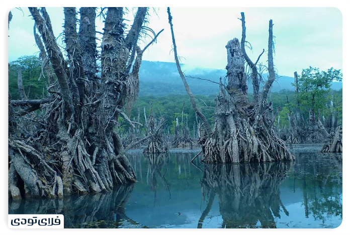 Noshahr Ghost Lake