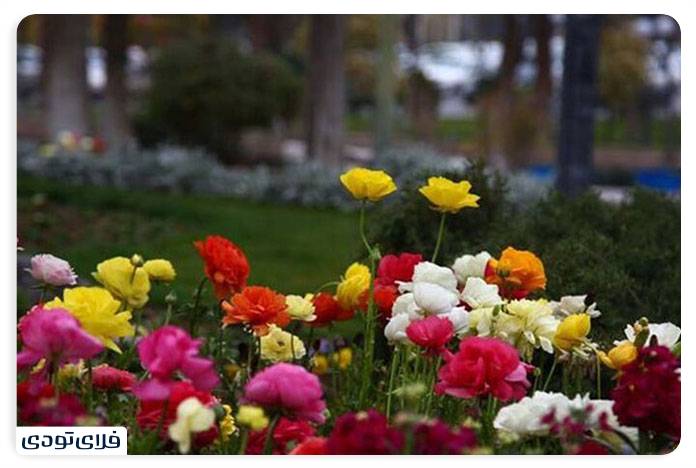 Spectacular places in Sanandaj From nature to date