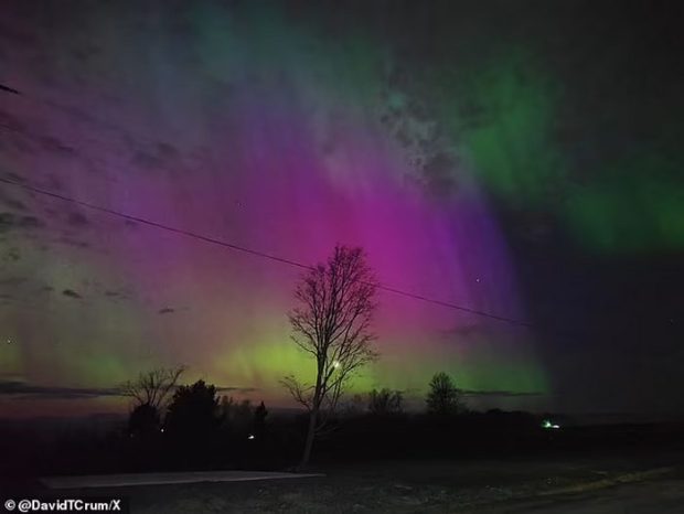Aurora