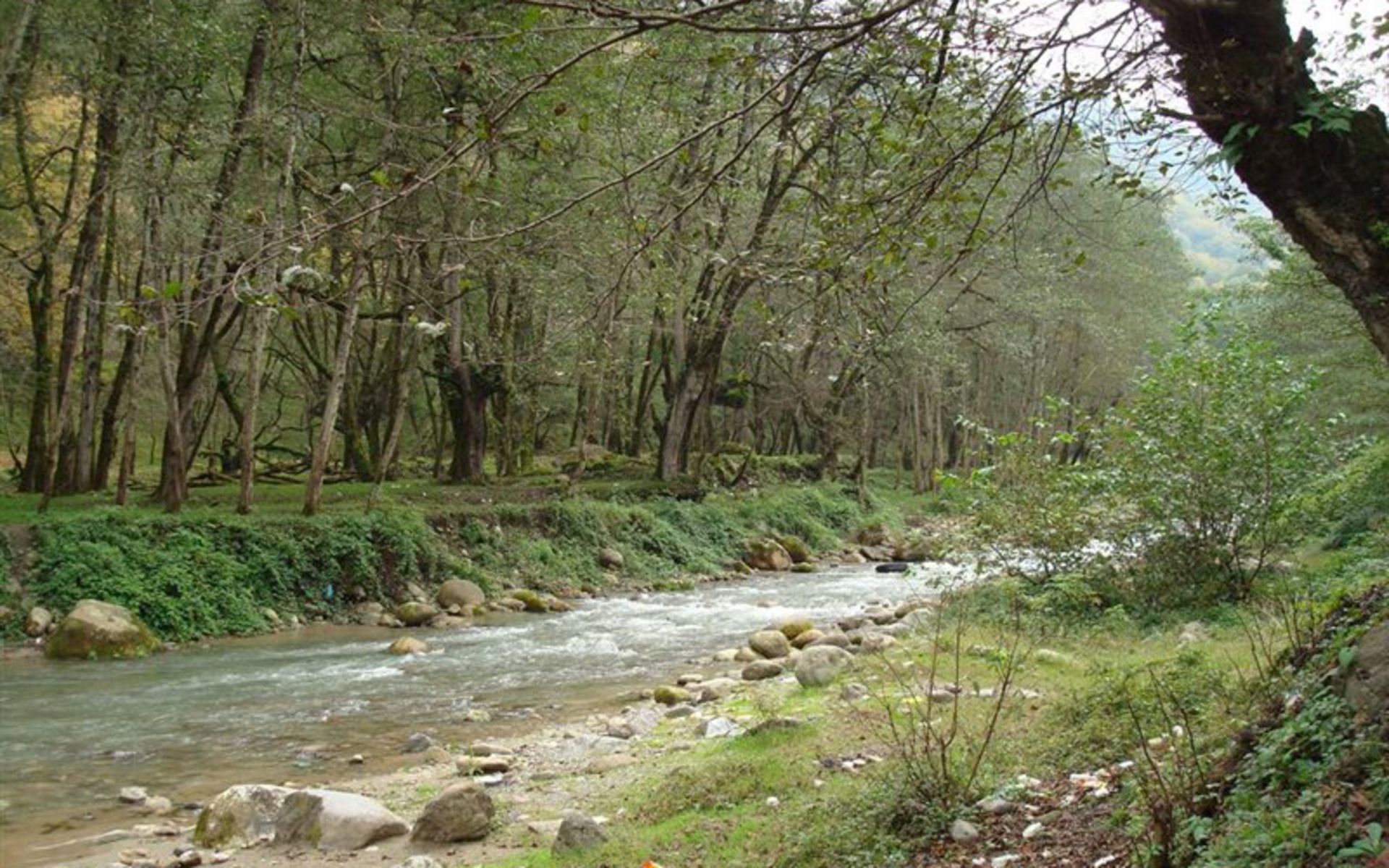 Chalus River in Finn Forest Park  