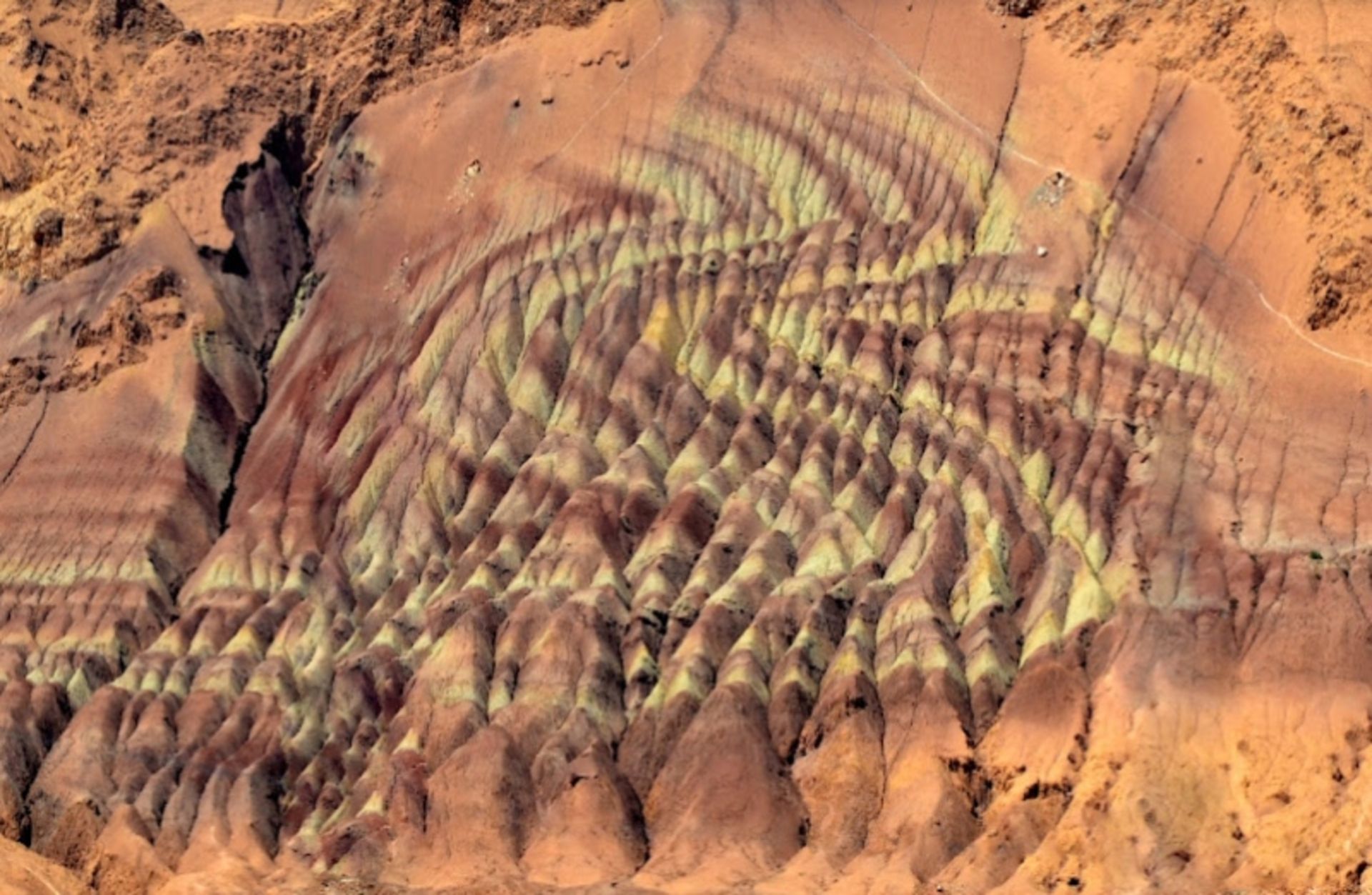 Dragon Landscape 