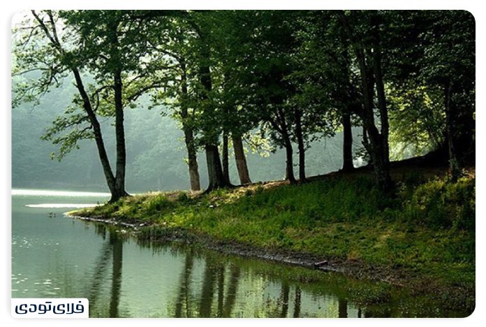The Plain of the Monetary Dalkhani Forest