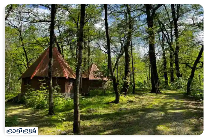 The Plain of the Monetary Chaldra Forest Park