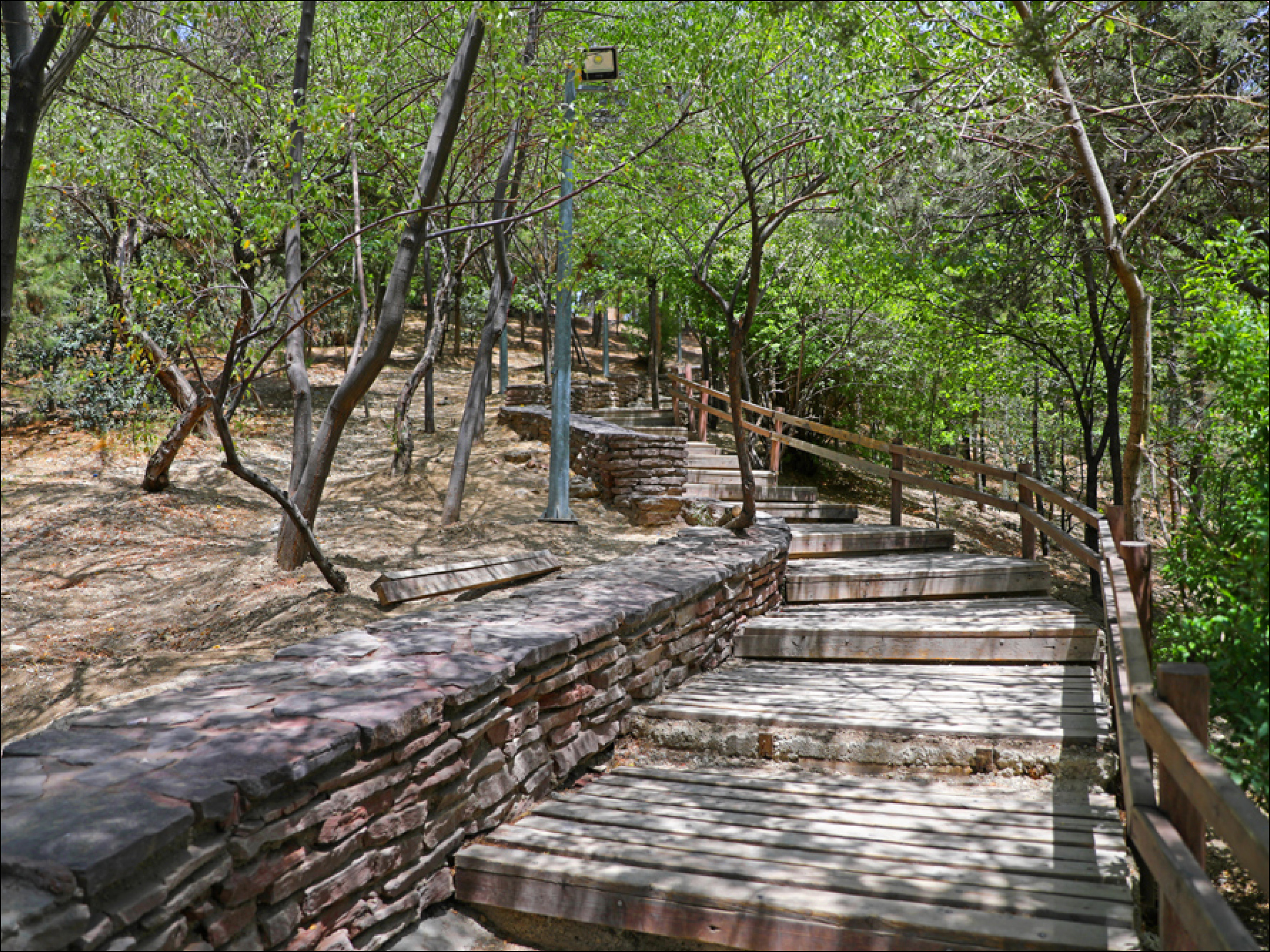Wooden
