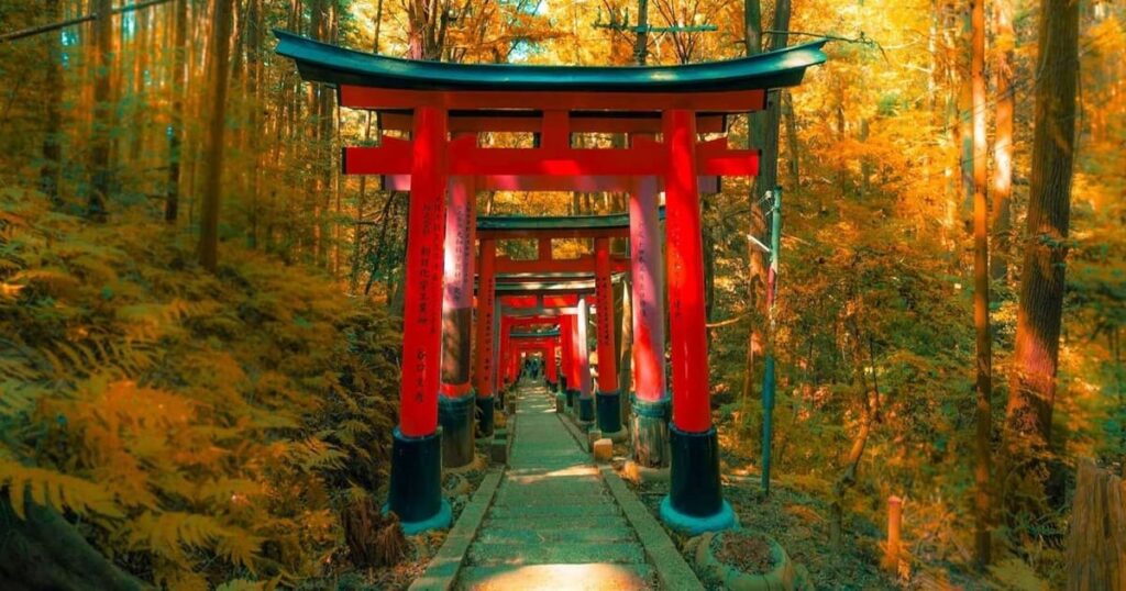 How to go to the Fushimi Temple of Inri?