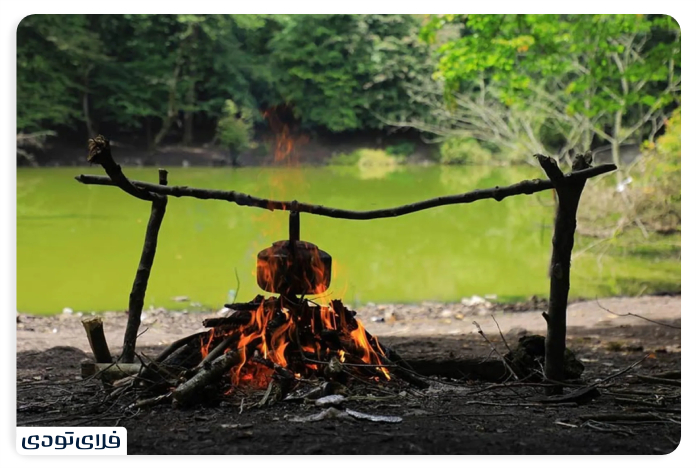Hello swamp Safety Tips and Necessity to Maiain the Environme of the Hussel Wetland