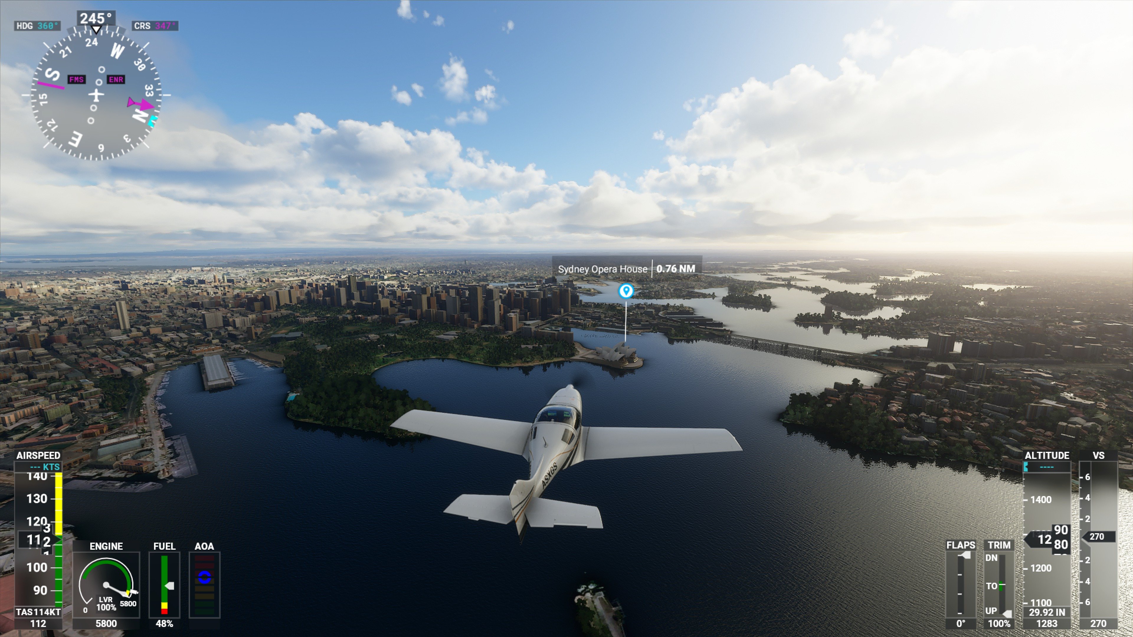 Flight simulator