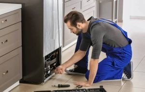 Look at the problems of the Himalaya refrigerator