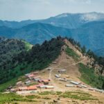 The Nature of the Olsbali Business