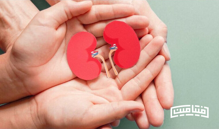 Kidney health