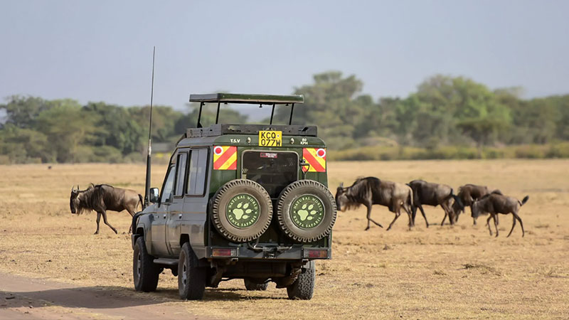 The cost of traveling to the coury of Kenya