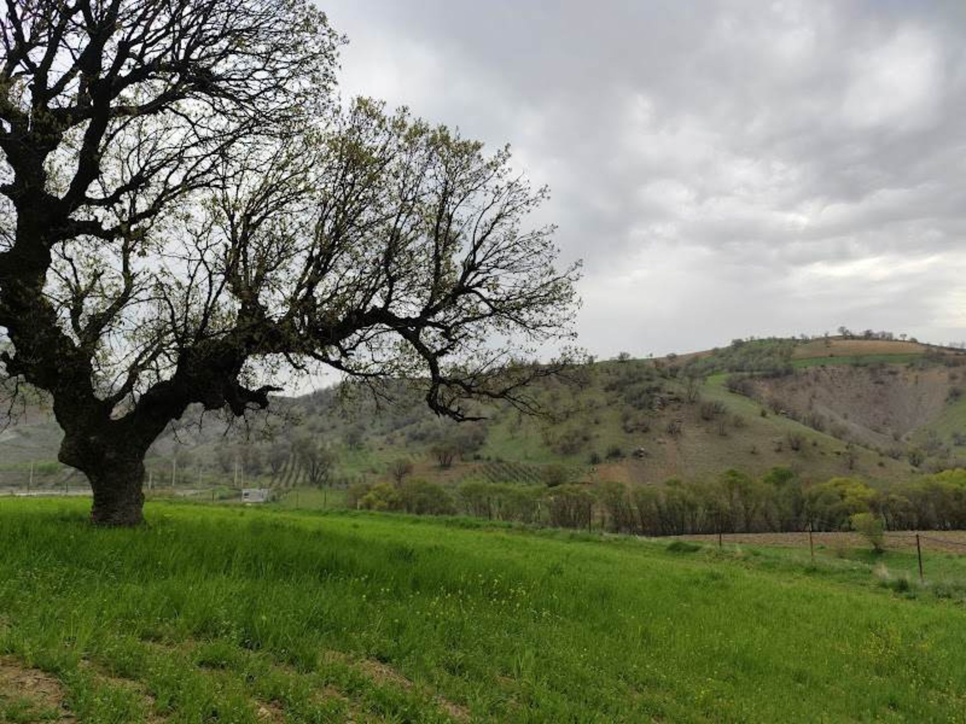 Plain and Mou White Berg village in Kermanshah