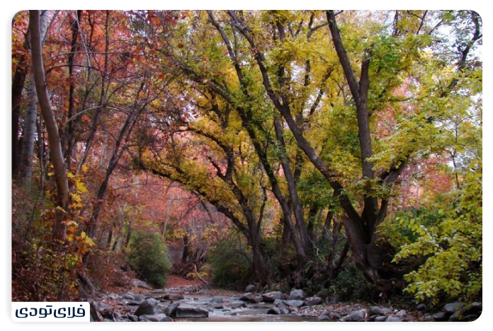 Nature of Karaj