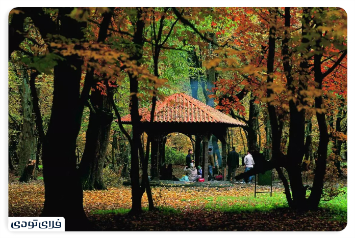 Dining Forest