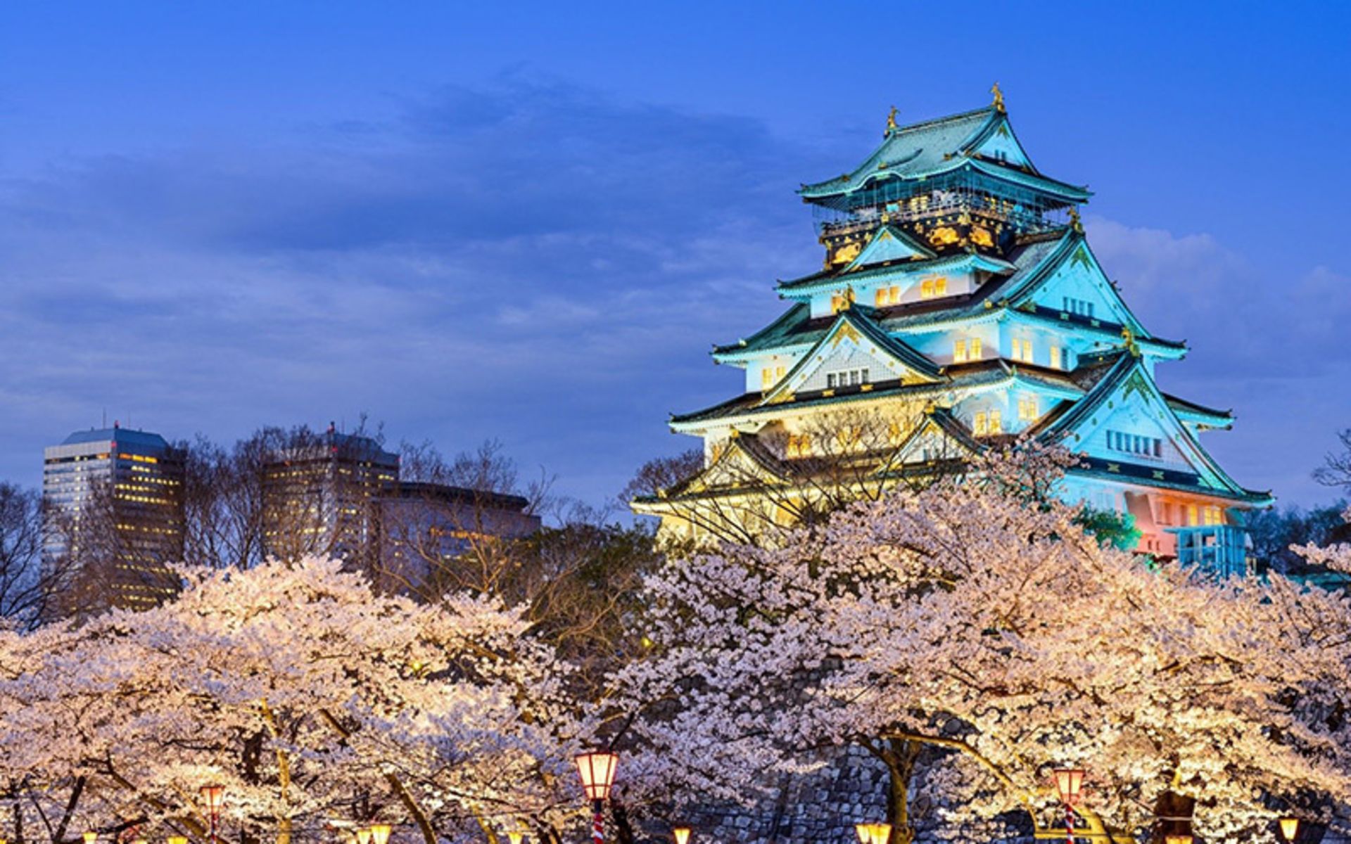 Osaka Multi -Floor Castle in Night Lighting