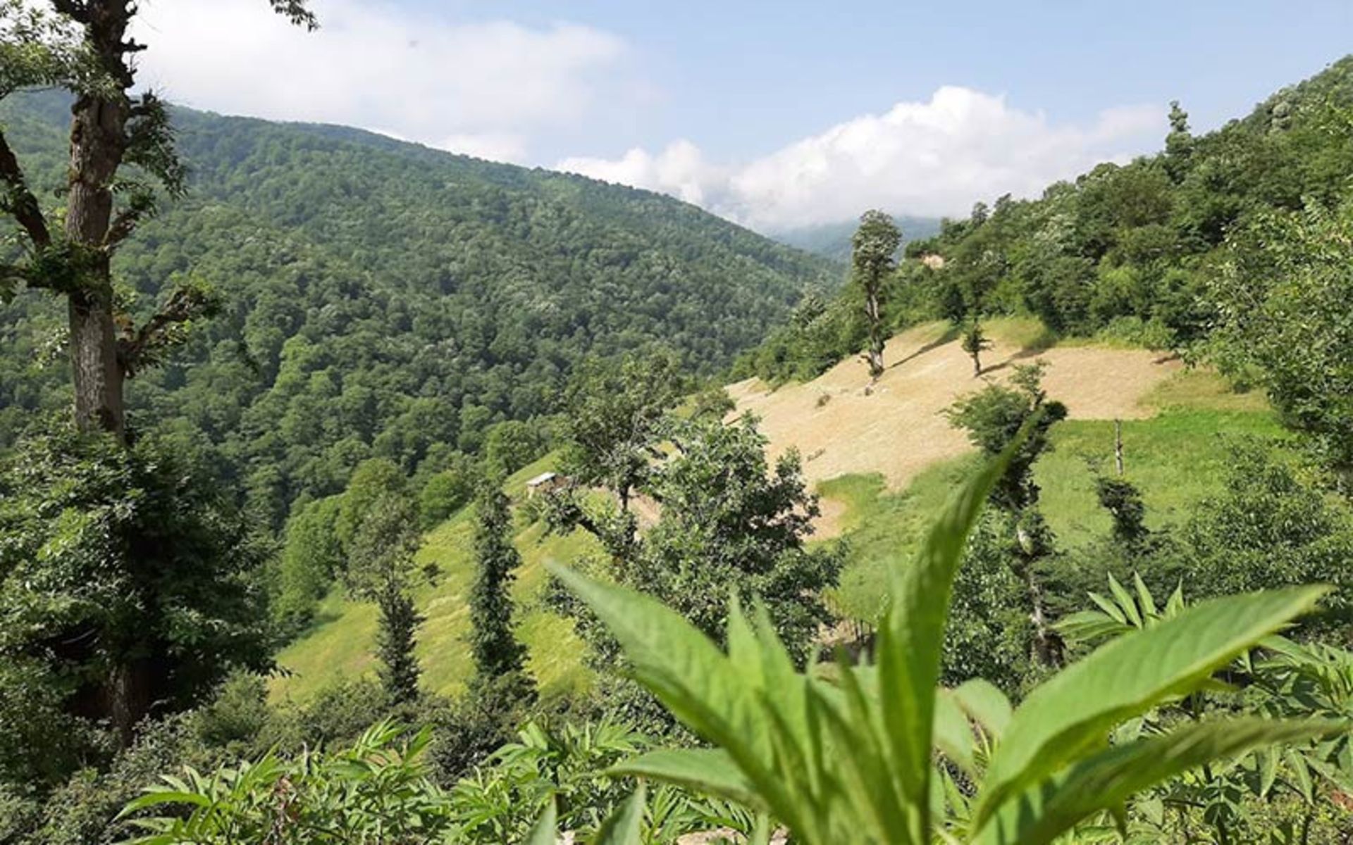 The mouain nature of the Asalem road to Khalkhal