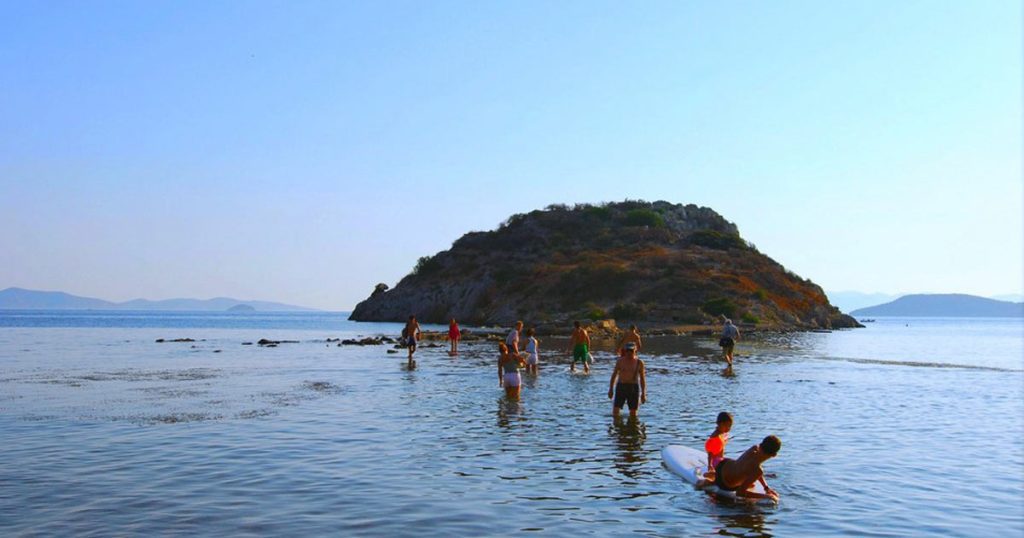 Rabbit Island (Rabbit Island)