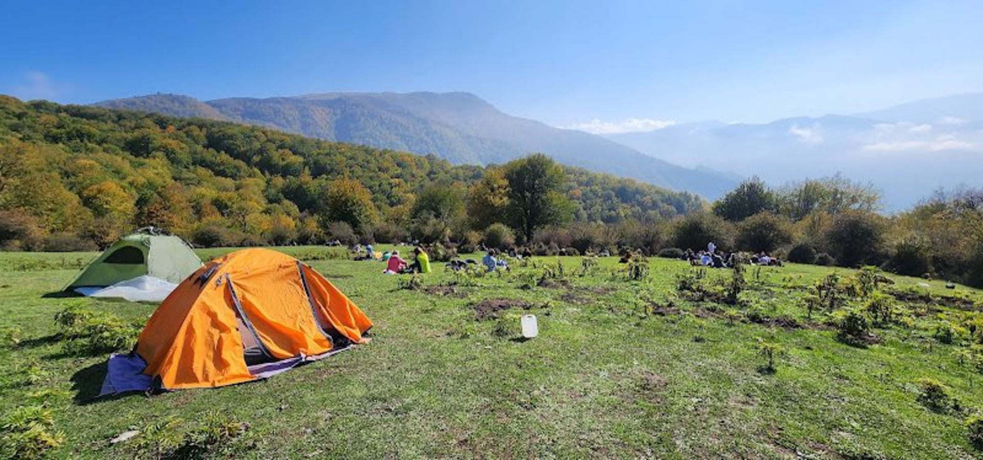 Camping in Alimistan Forest