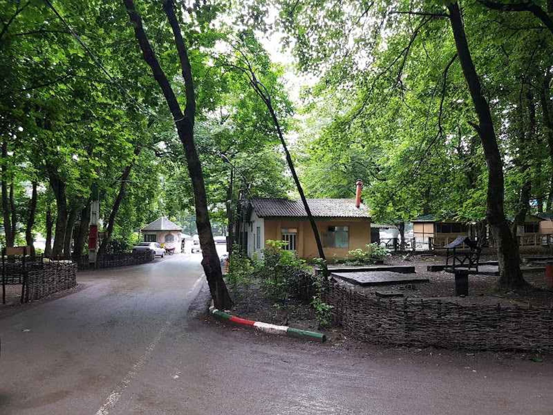Trees and facilities of the Amol Forest Forest Park